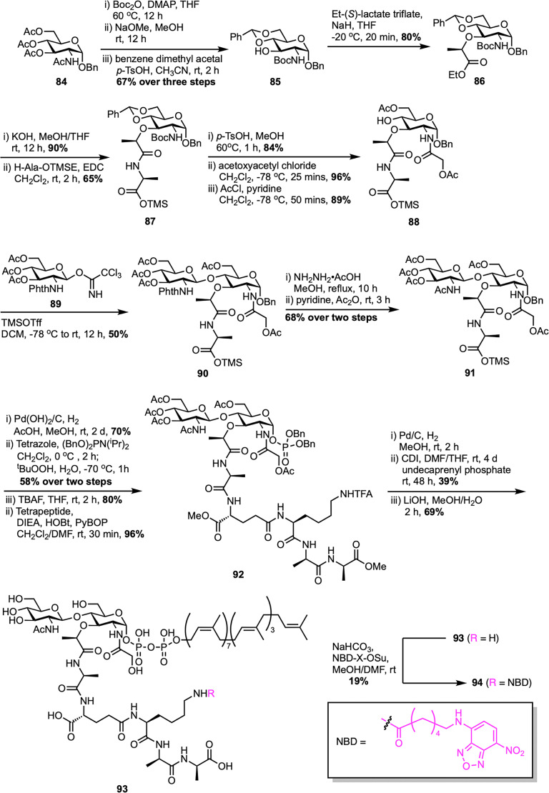 Scheme 13