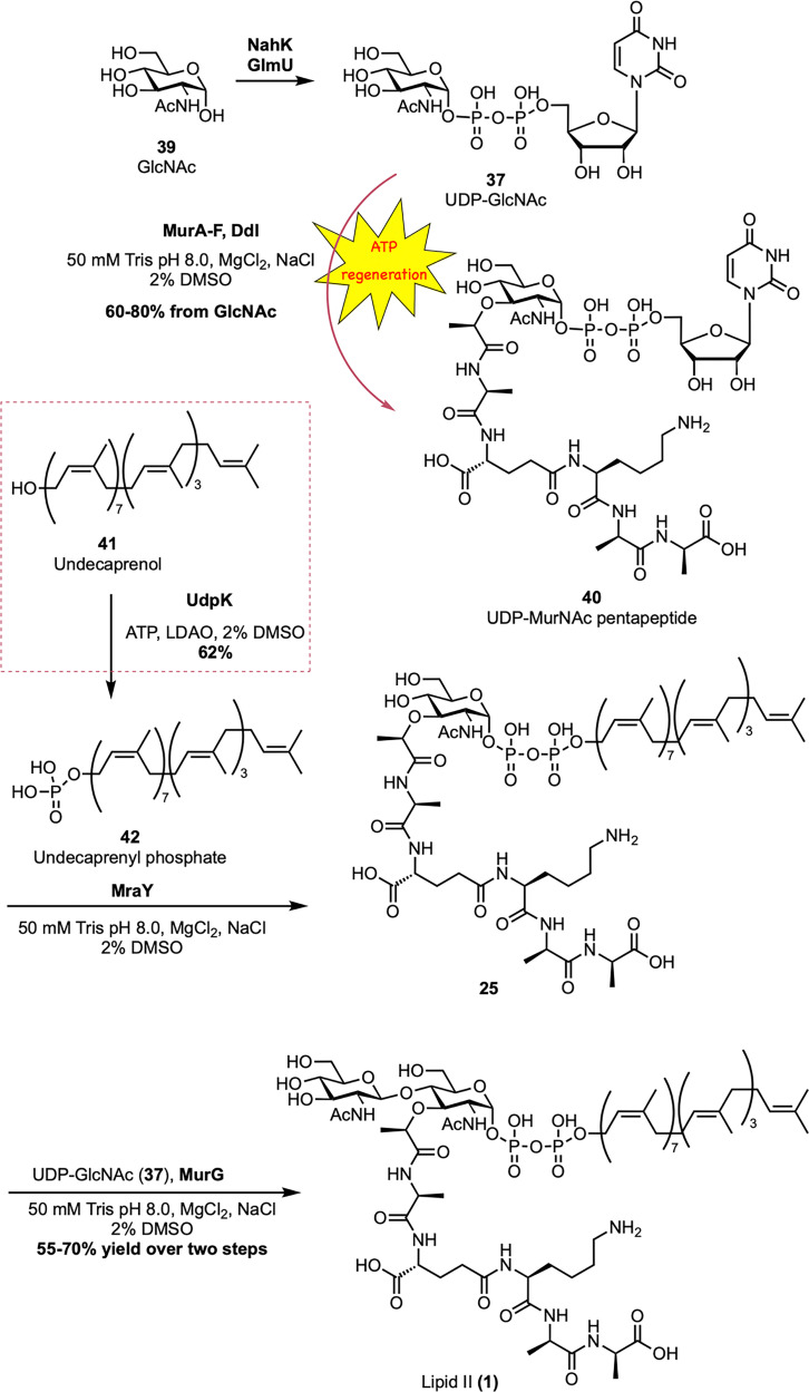 Scheme 6