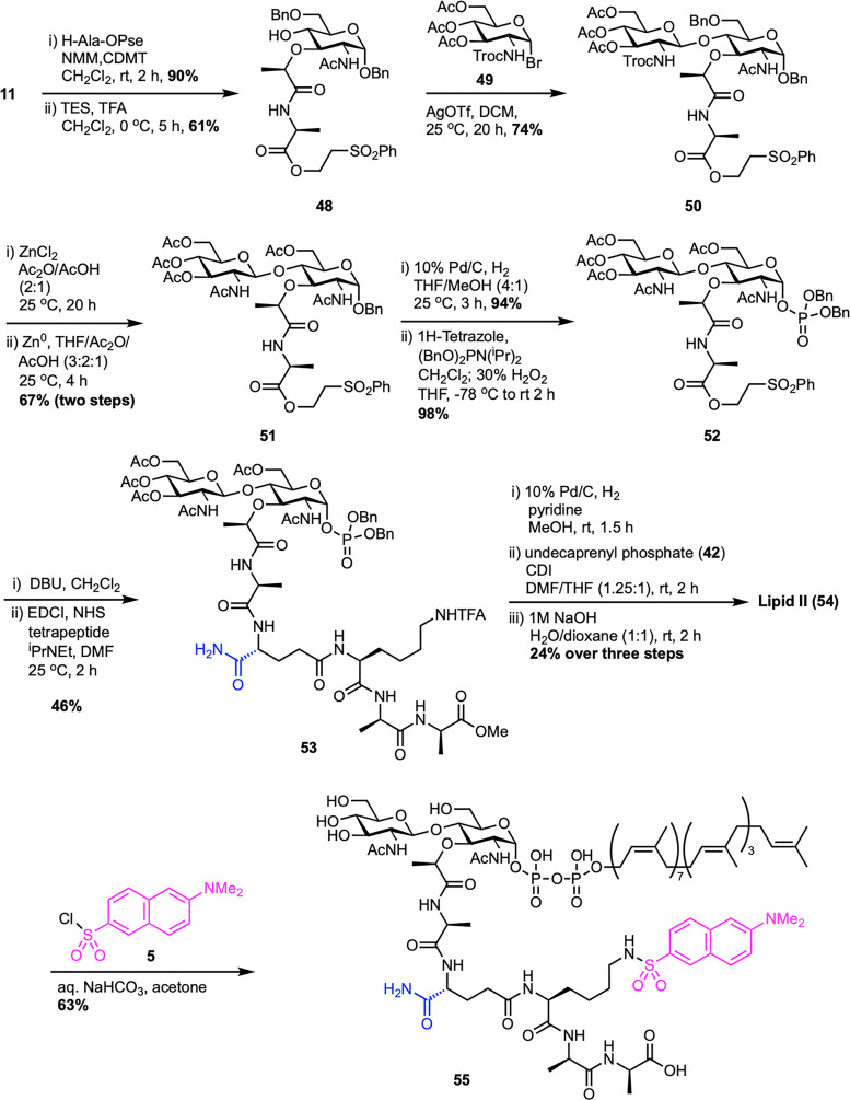 Scheme 8