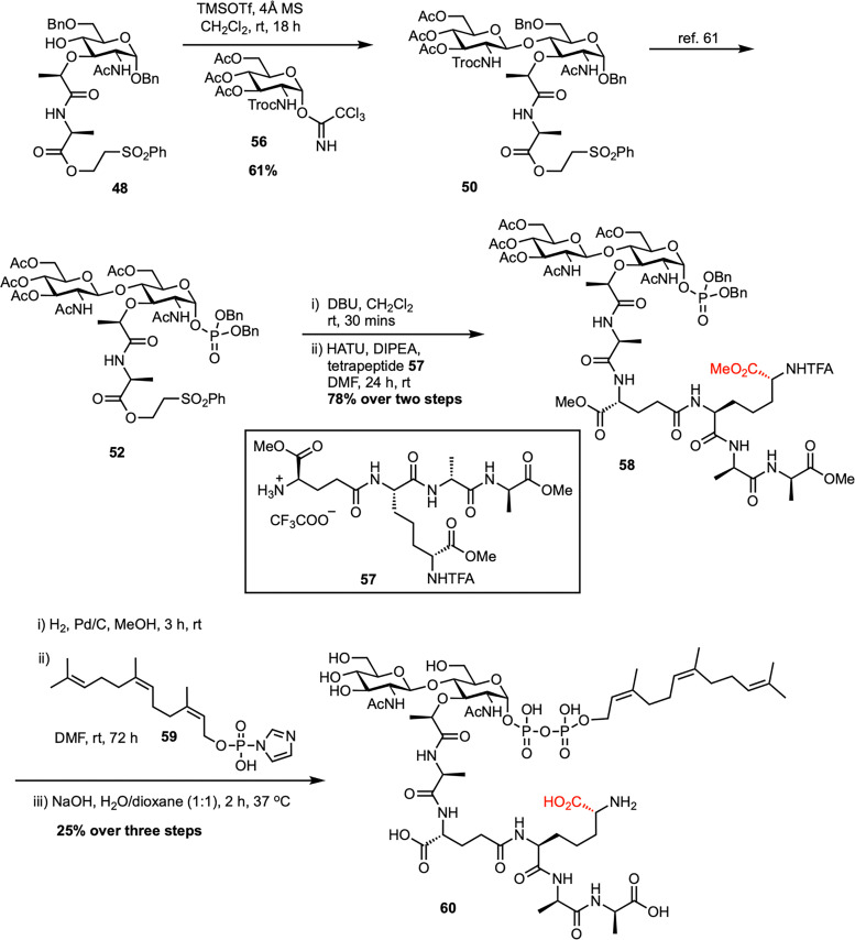 Scheme 9