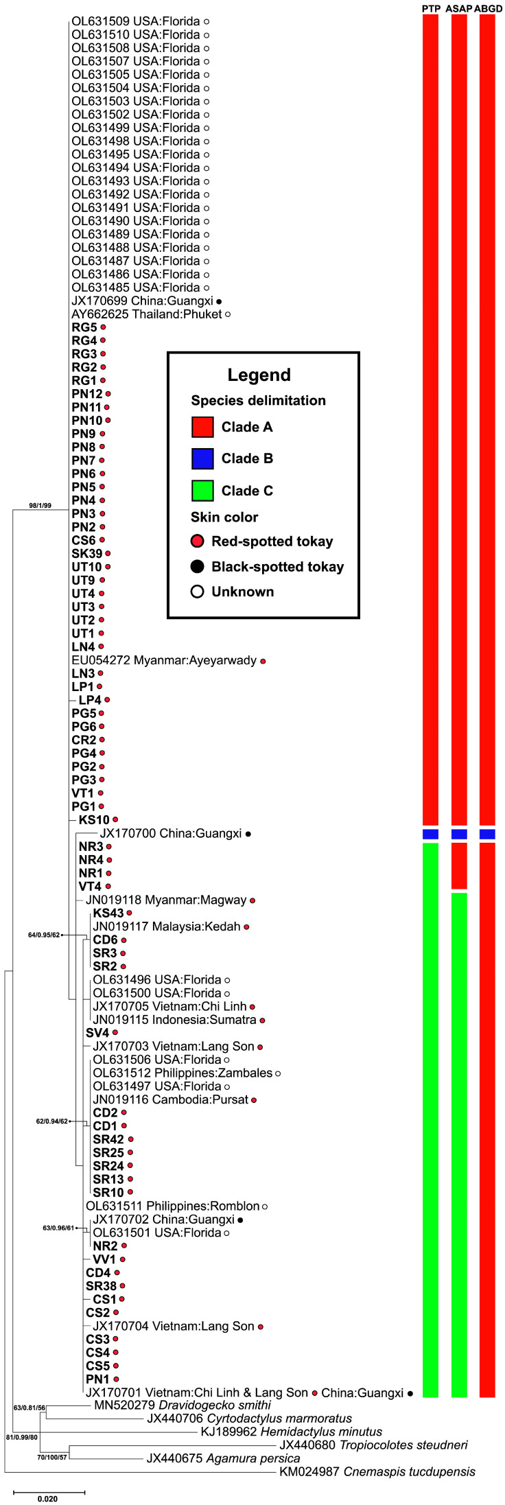Figure 2