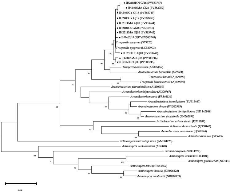 Figure 4