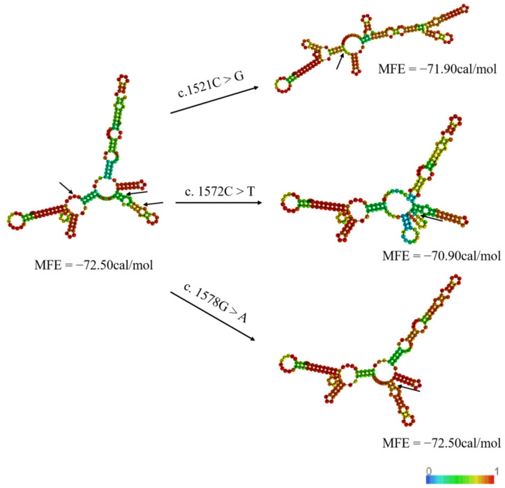 Figure 7
