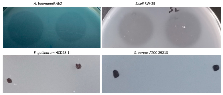 Figure 6