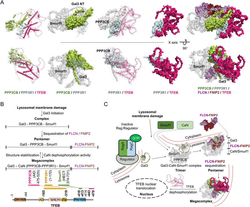 Figure 12