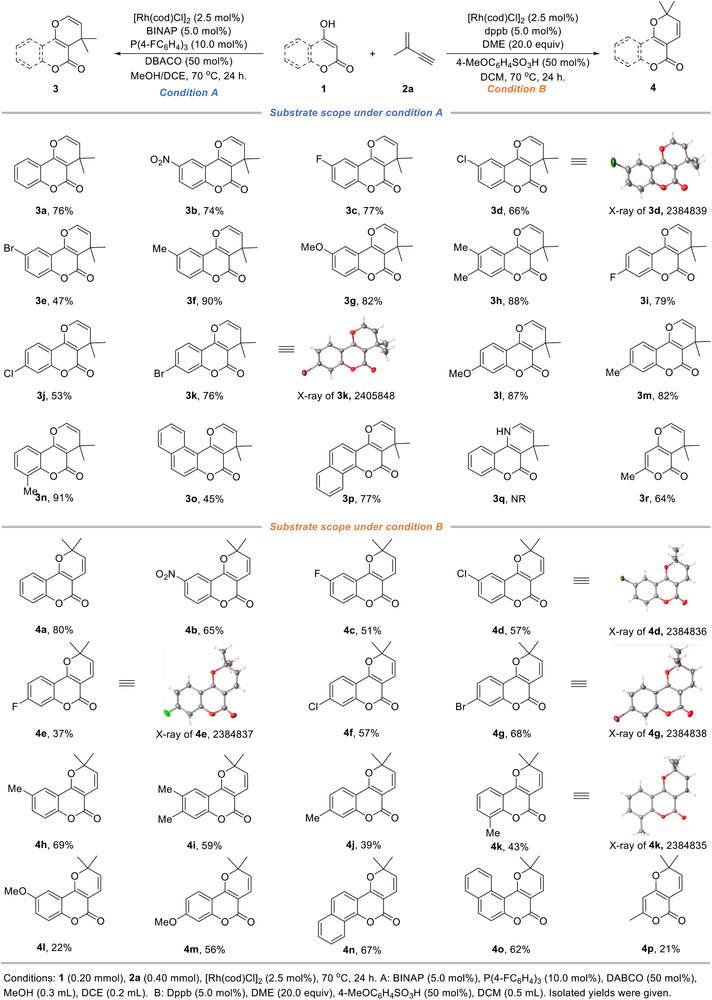 Scheme 4