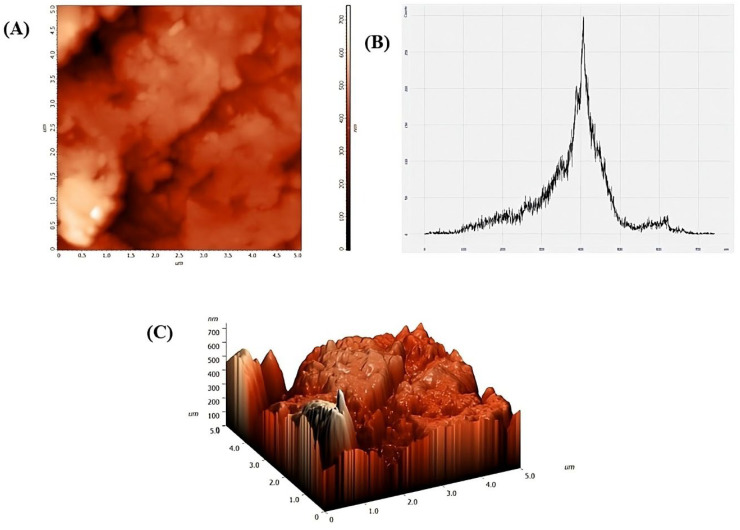 Figure 6