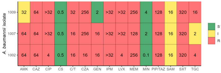 Figure 1