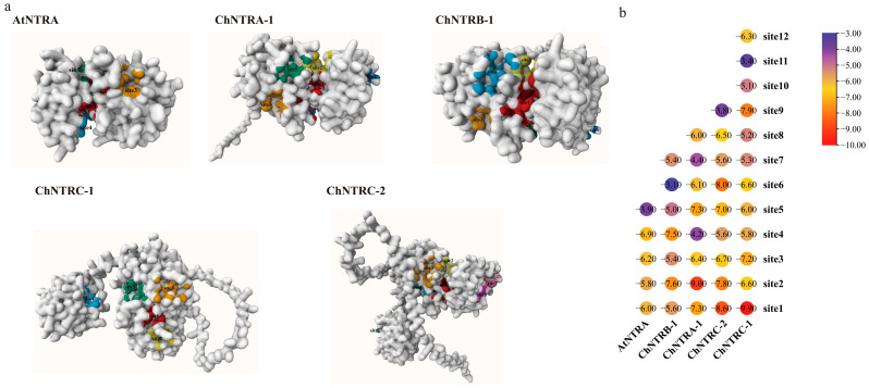 Figure 11