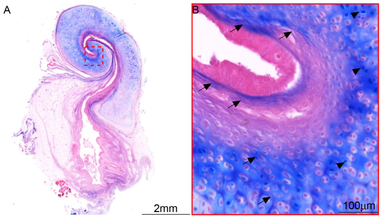 Figure 9