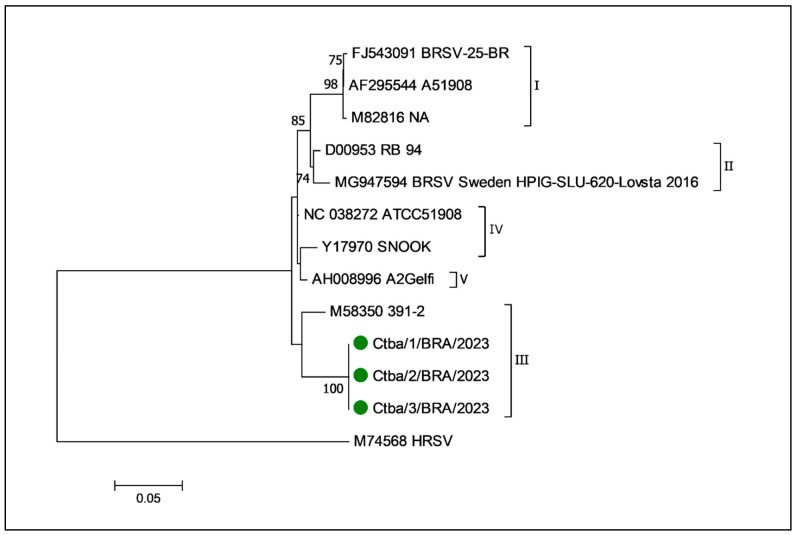 Figure 6