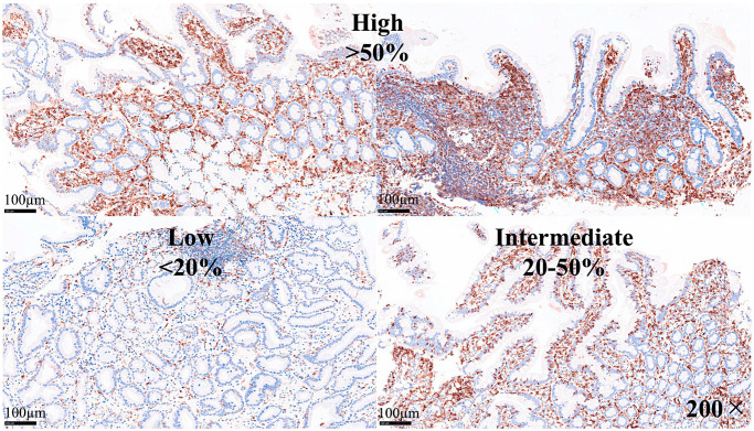 Figure 12