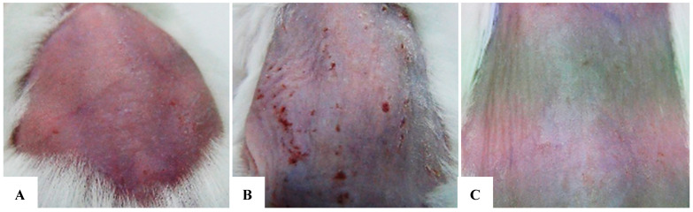 Figure 23