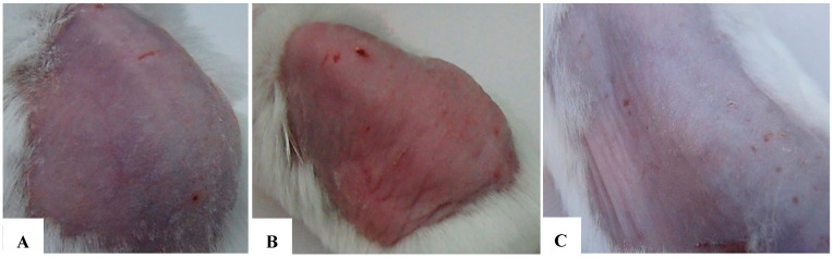 Figure 24