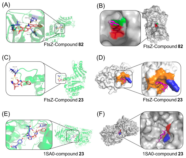 Figure 11