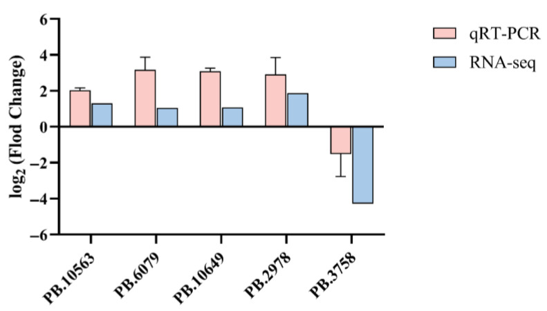 Figure 6