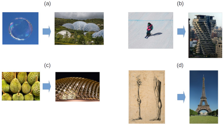 Figure 19