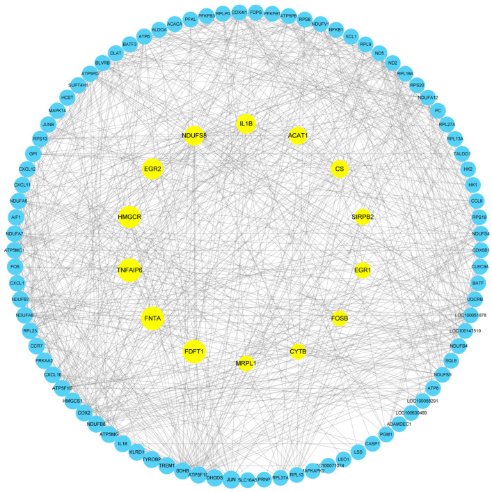 Figure 7