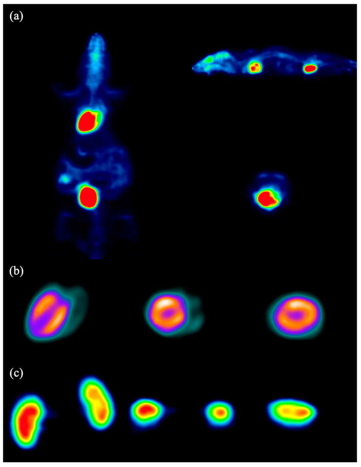 Figure 12