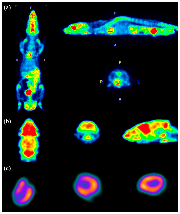 Figure 13