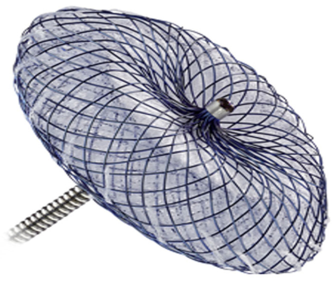 Figure 5
