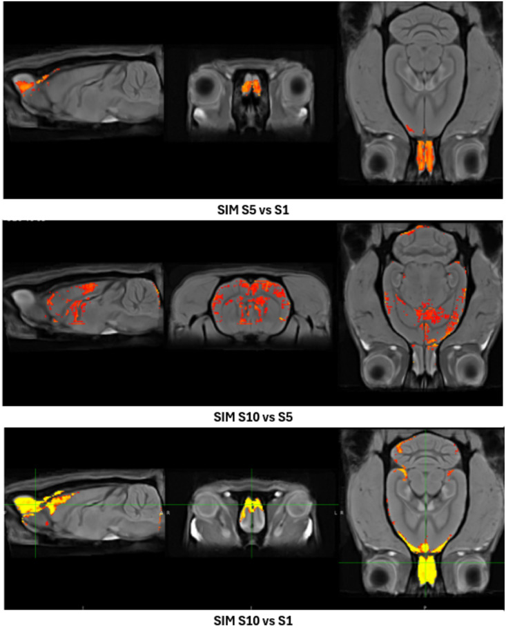 Fig 12