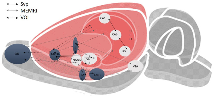 Fig 13