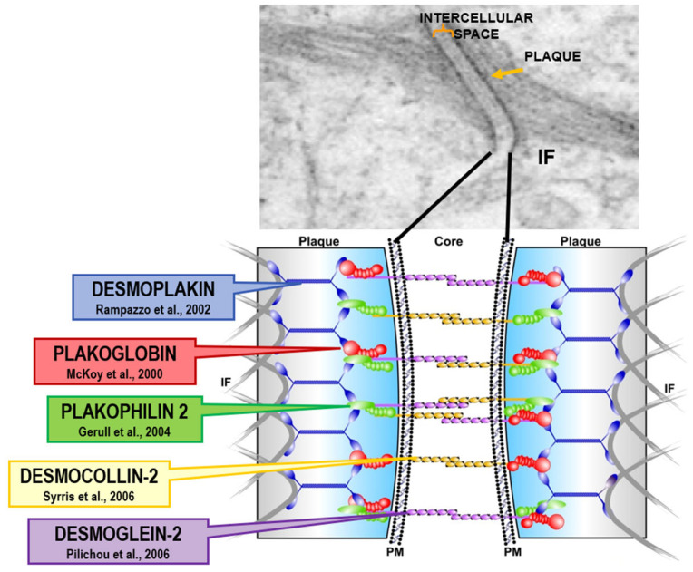 Figure 19