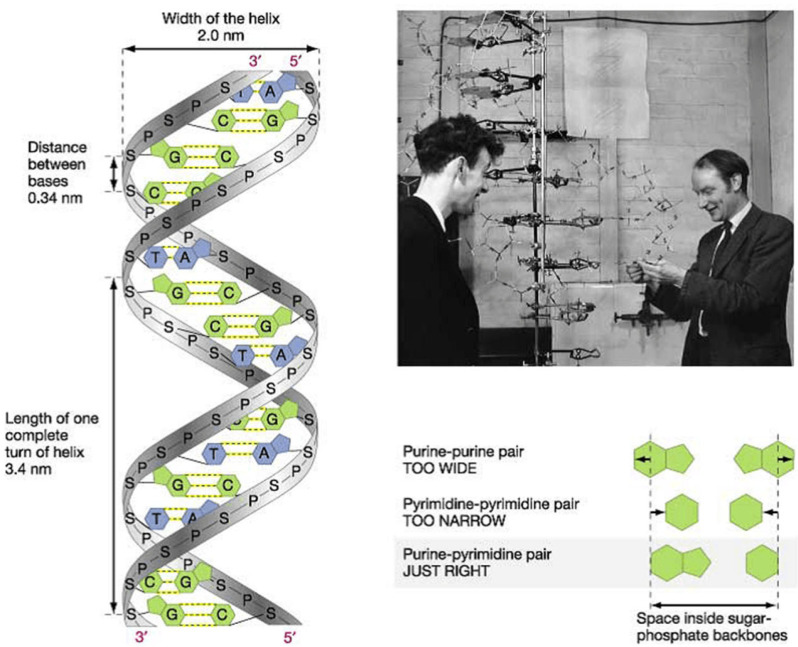 Figure 22