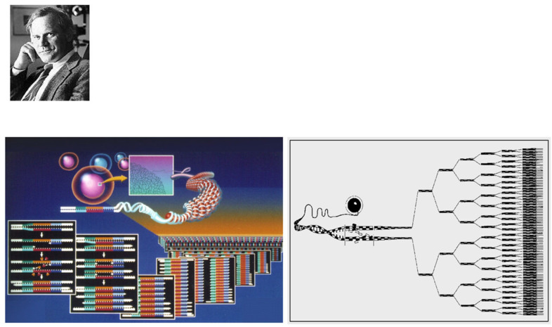 Figure 23