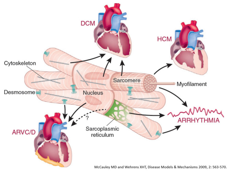 Figure 24