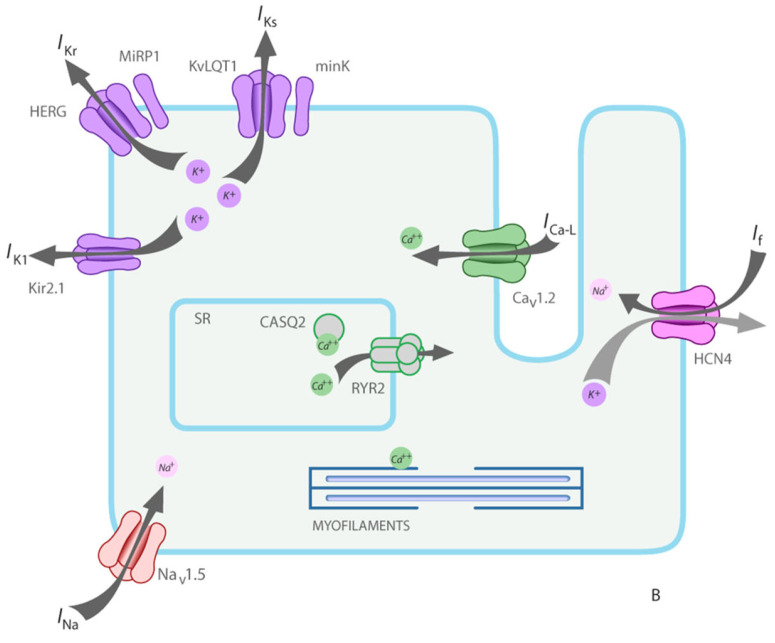 Figure 25