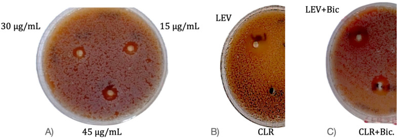Figure 2