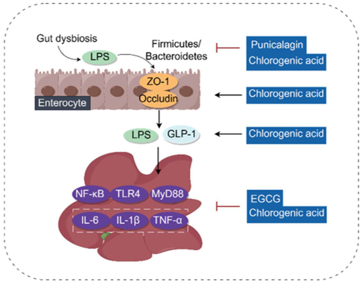Figure 10