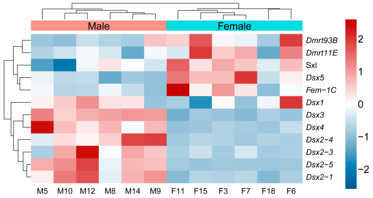 Figure 5