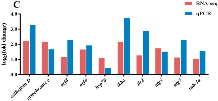 Figure 7