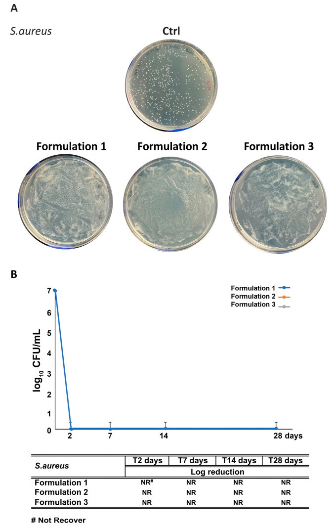 Figure 10