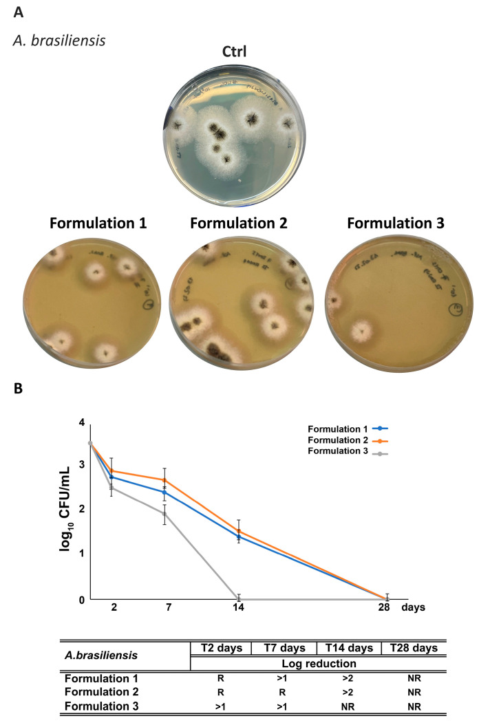 Figure 12