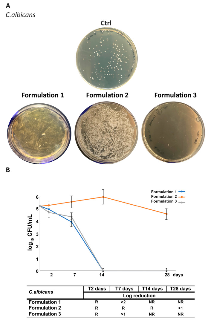 Figure 13