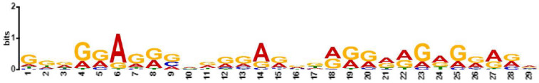 Figure 9