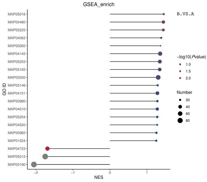 Figure 20