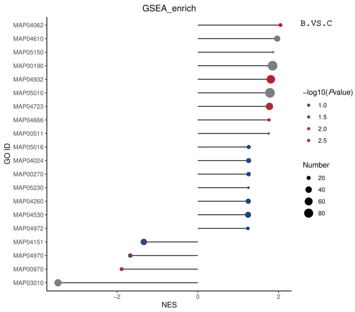 Figure 21