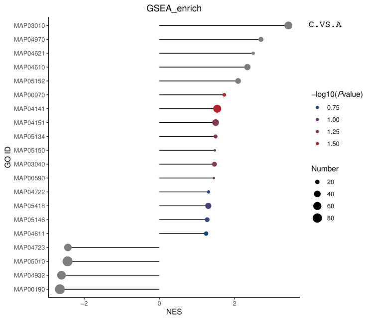 Figure 22