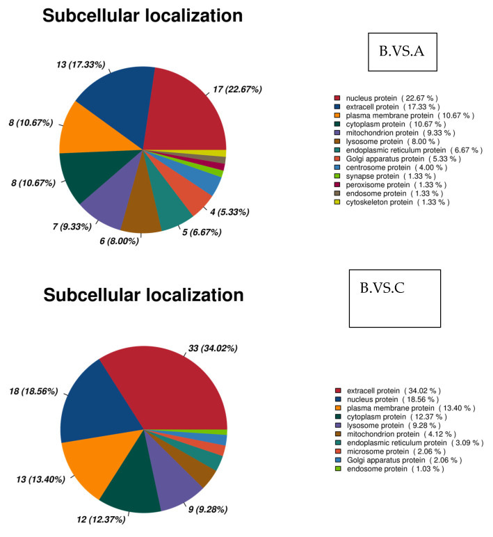 Figure 29
