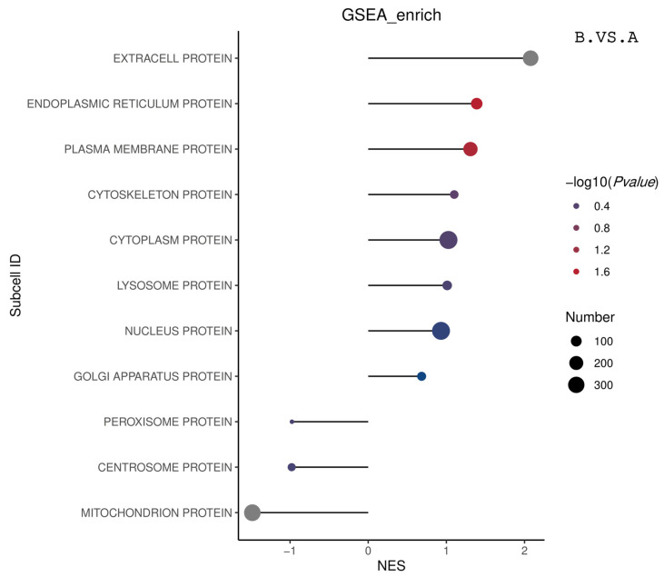 Figure 31