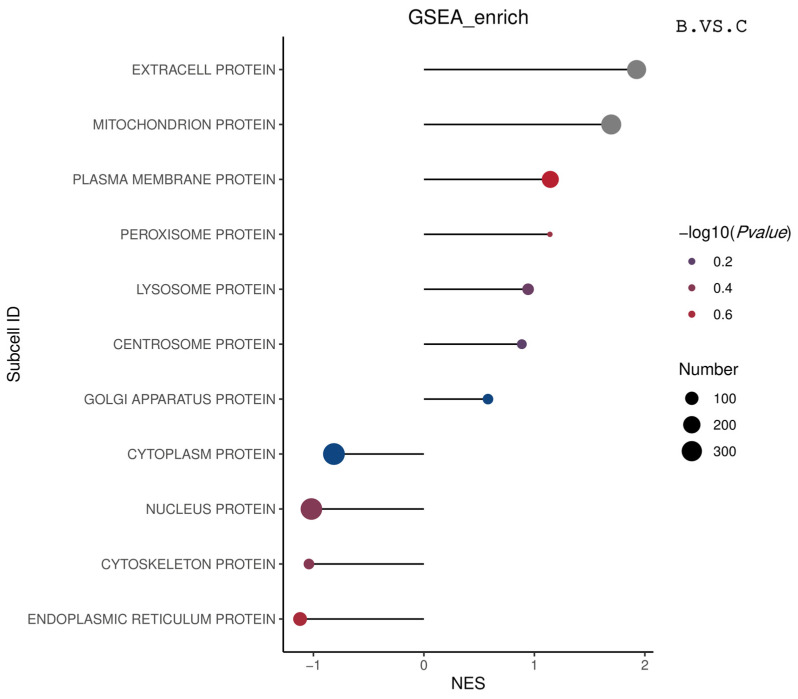 Figure 32