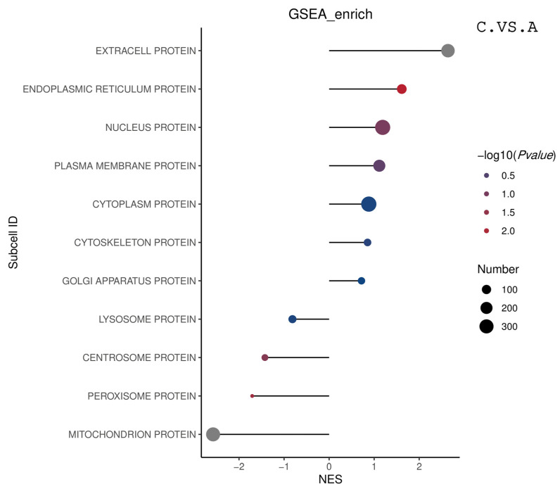 Figure 33