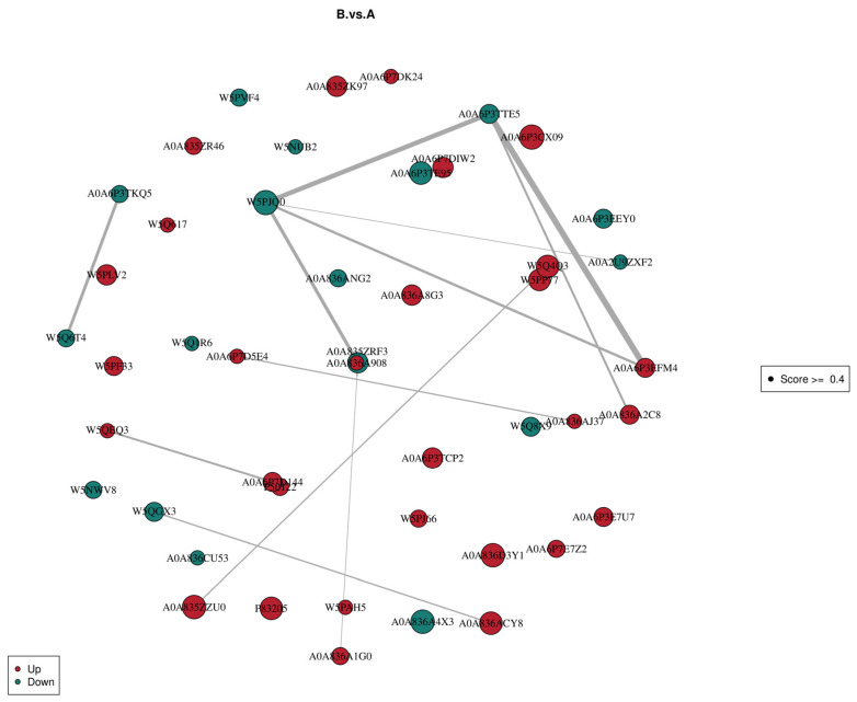 Figure 34