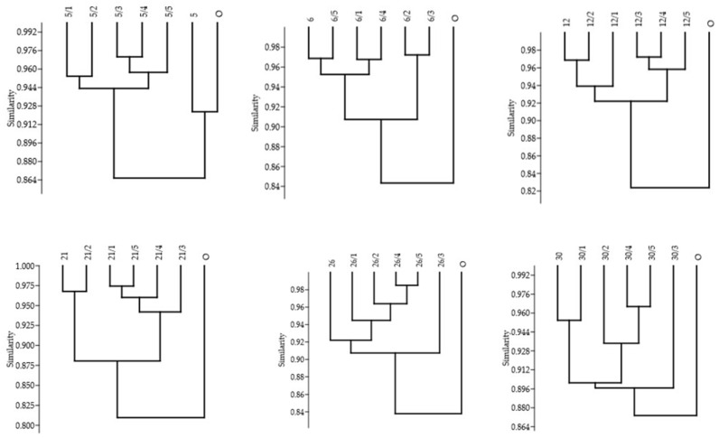 Figure 5