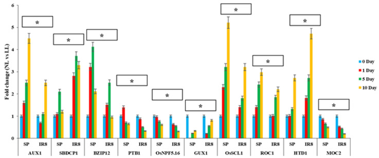 Figure 5